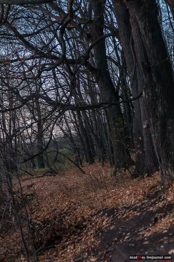 усадьба Богородицк