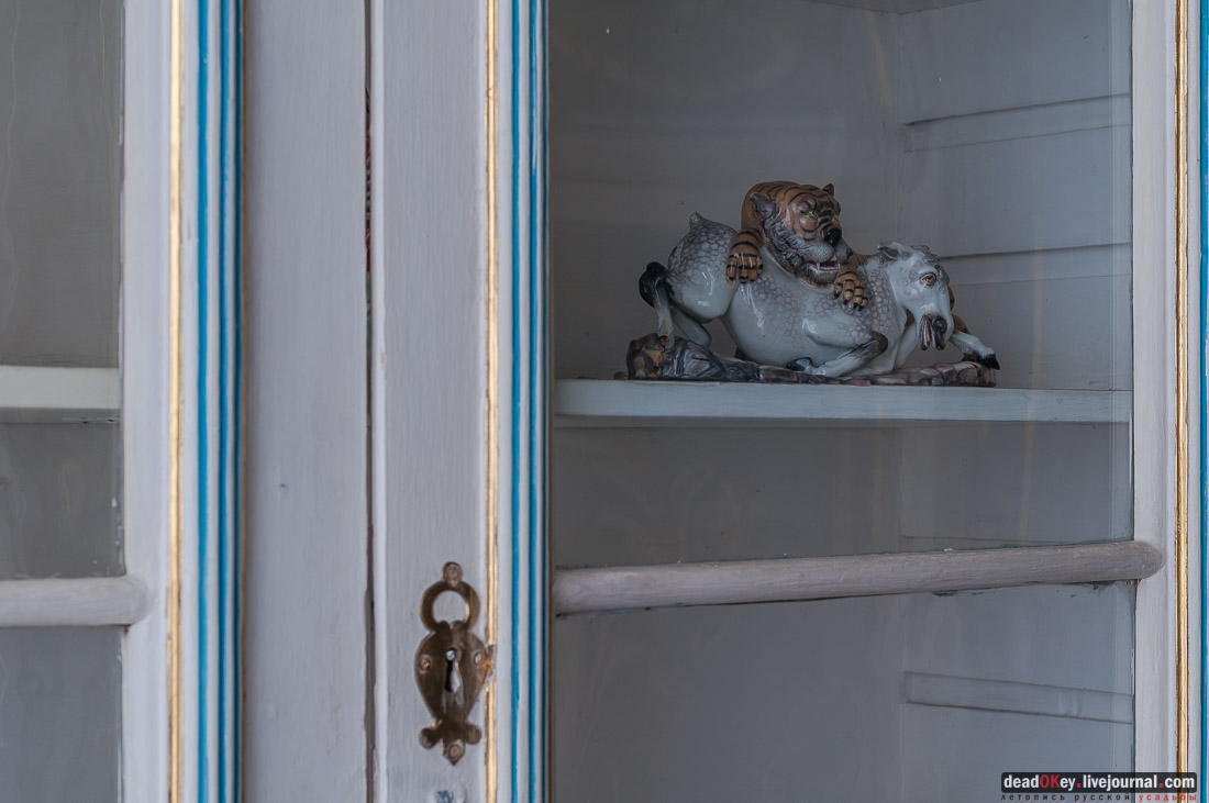 усадьба Кусково библиотека