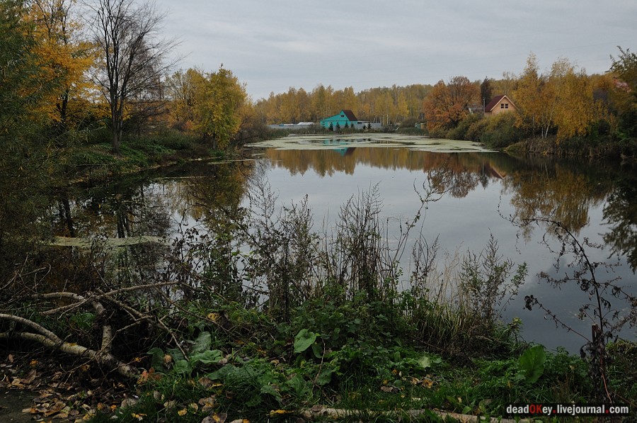 усадьба Жуково