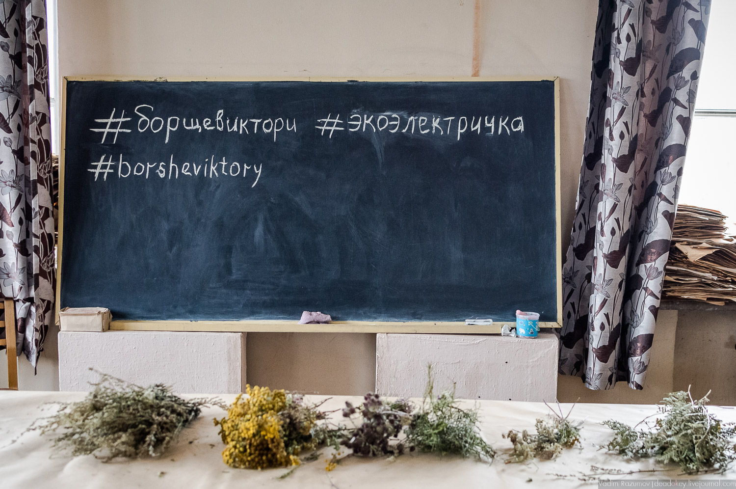 Ботанический сад, фондовая оранжерея, Экоэлектричка, борщевик