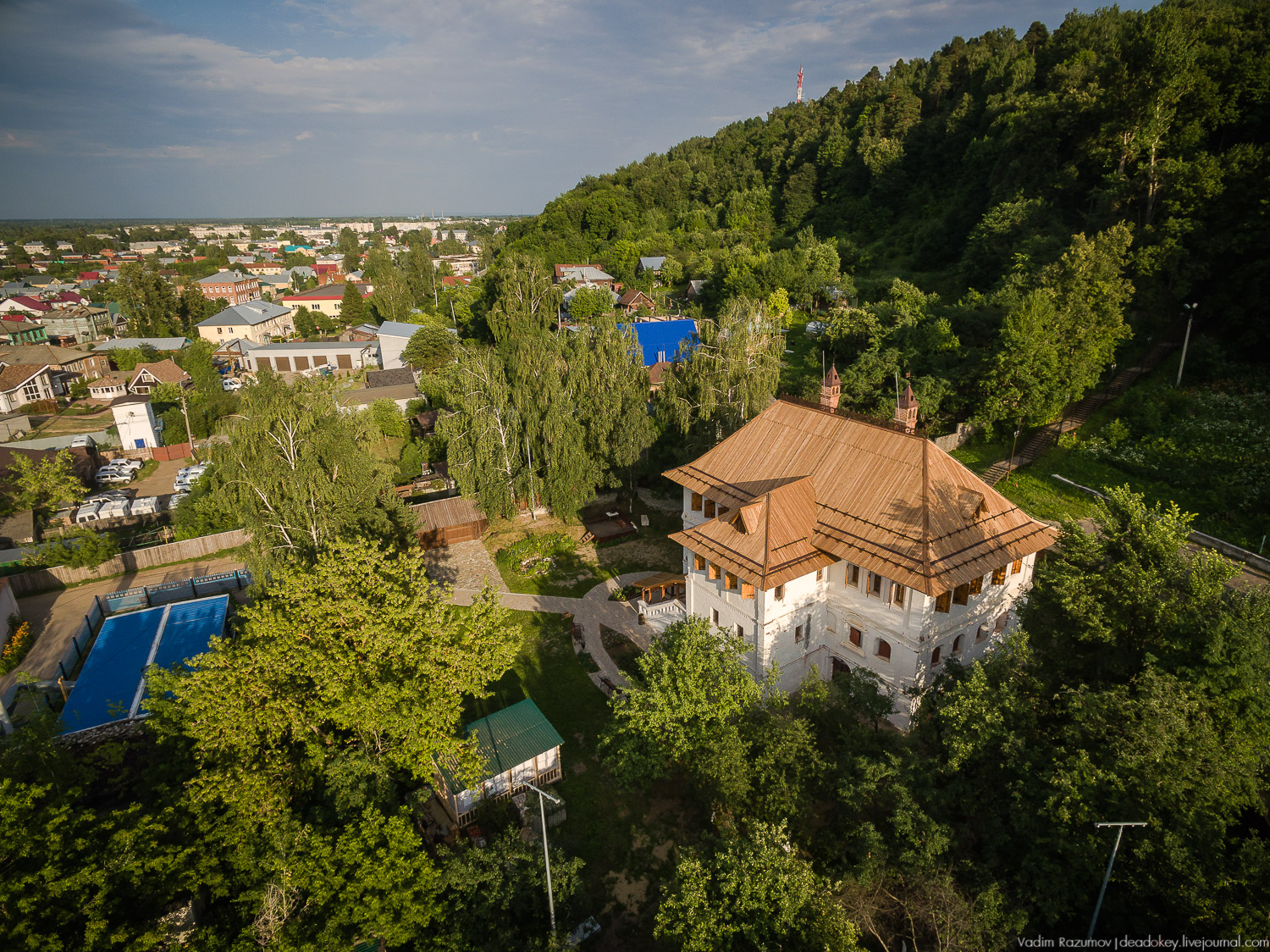 Гороховец с дрона