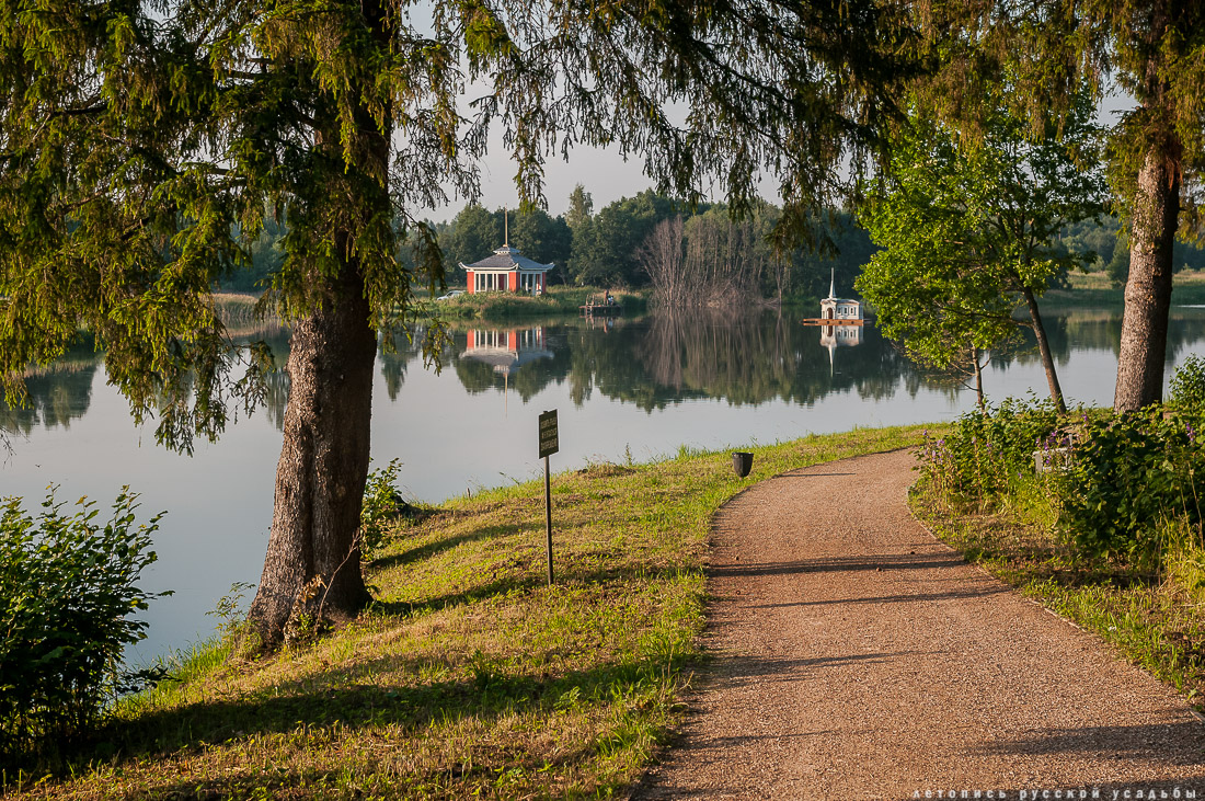 усадьба Степановское-Волосово, фотографии с дрона, шетлендский пони Трамп