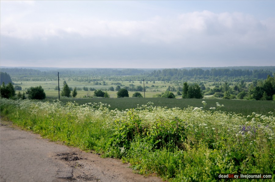 усадьба Кудрявцево