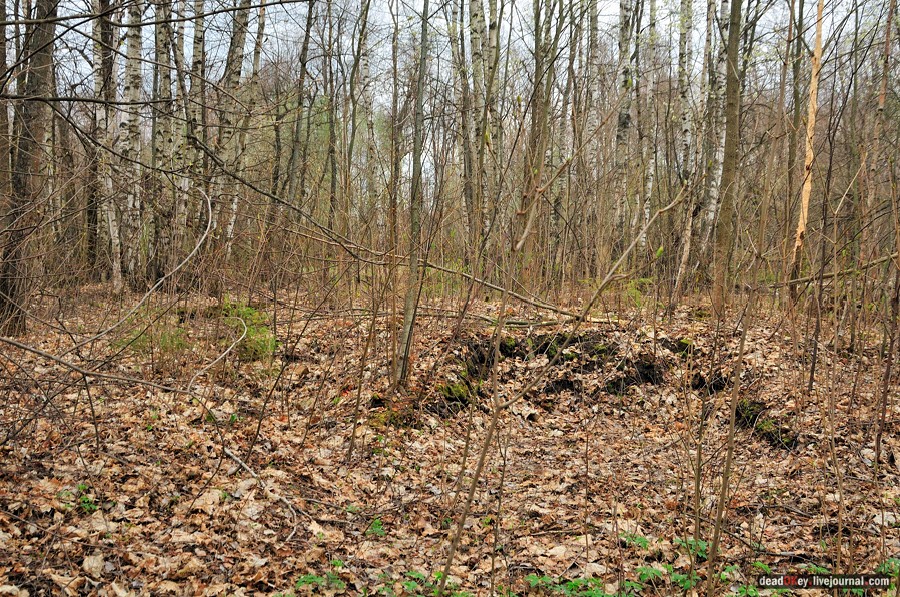 усадьба Антипино