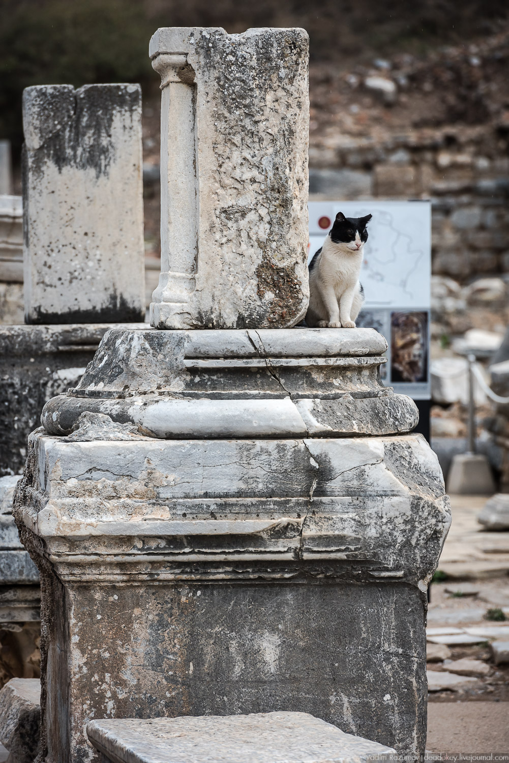 Эфес, античные руины, Турция