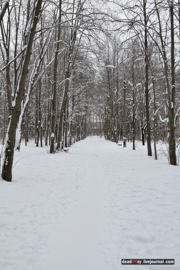 усадьба Лукино-Варино