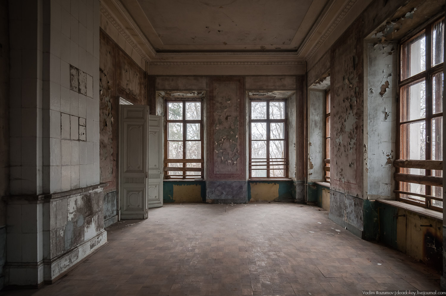 Интерьеры усадьбы Петрово-Дальнее, Дурнево