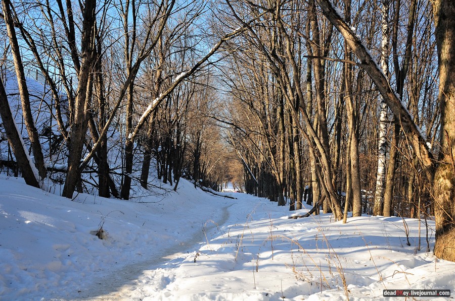 усадьба Петровское-Лобаново