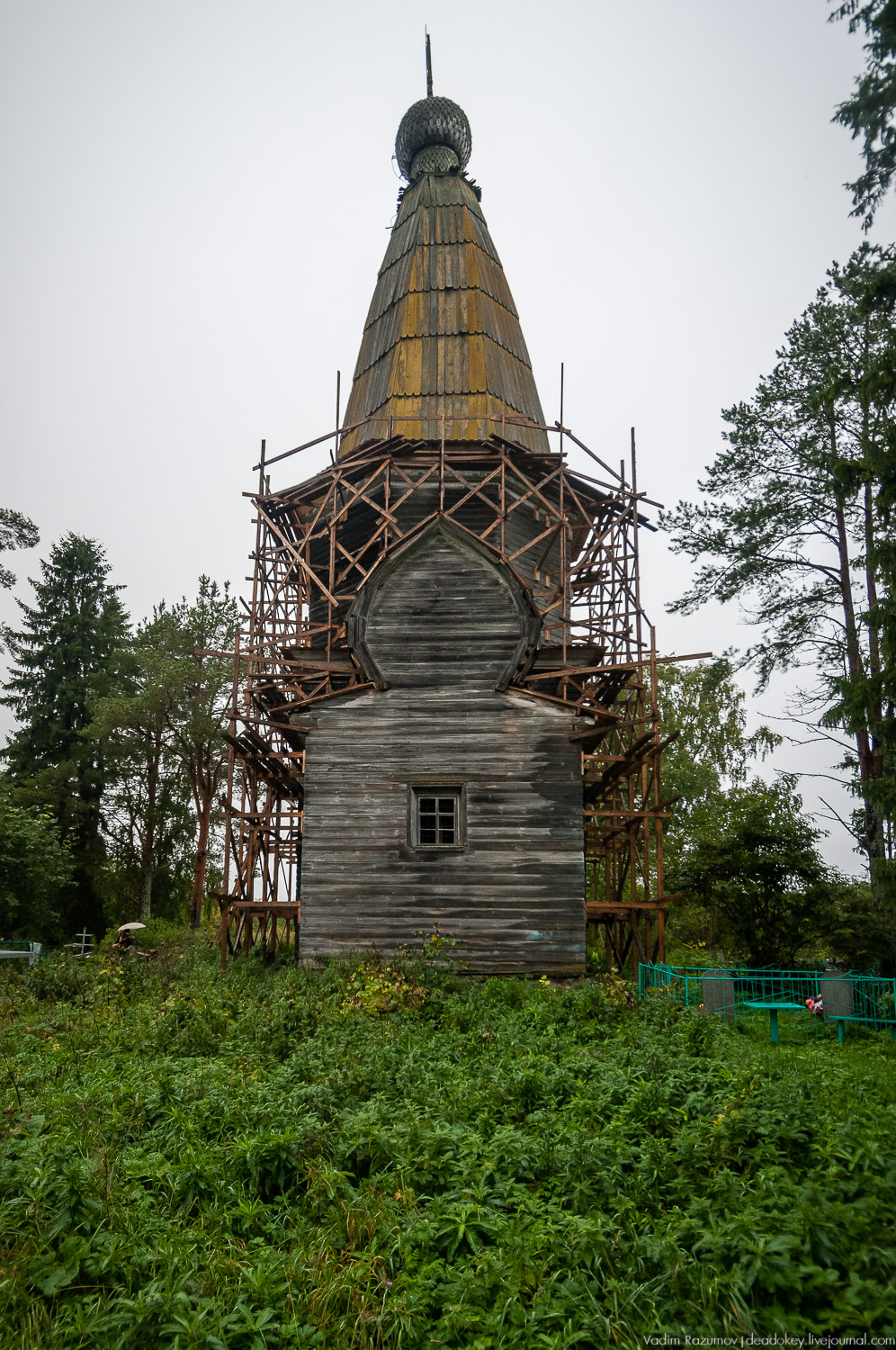 Русский север, экскурсия Усадебный экспресс, Архангельская область