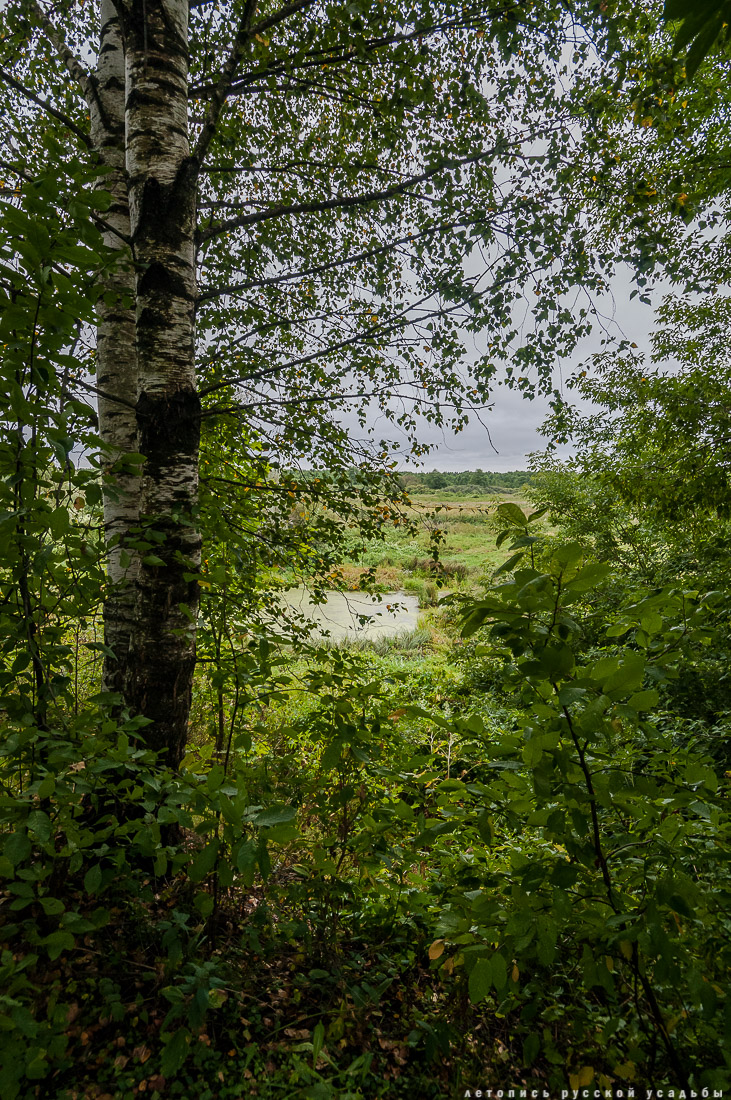 Меховицы, дом фабриканта Карпова, Чистые Росы, продается усадьба