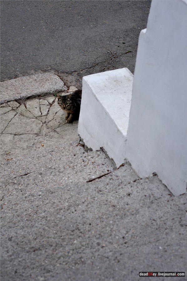 усадьба Поливаново