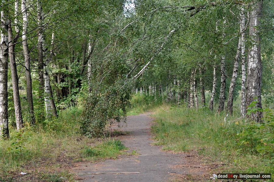 усадьба Пронино