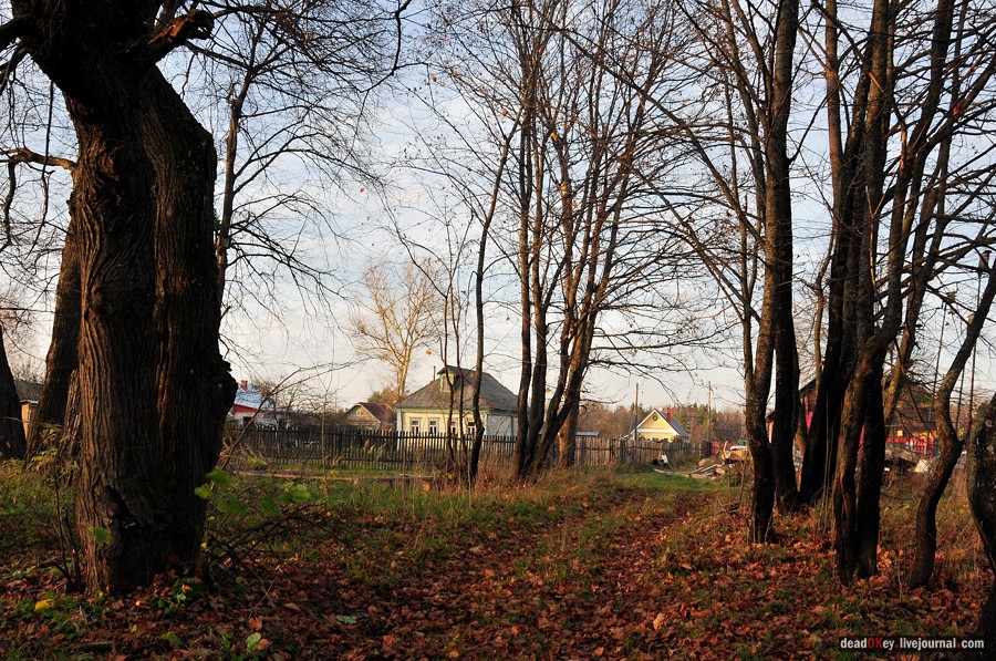 усадьба Бережки