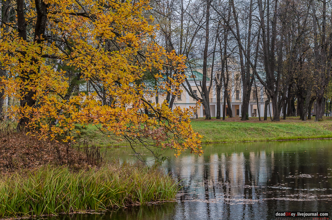Усадьба Покровское-Рубцово