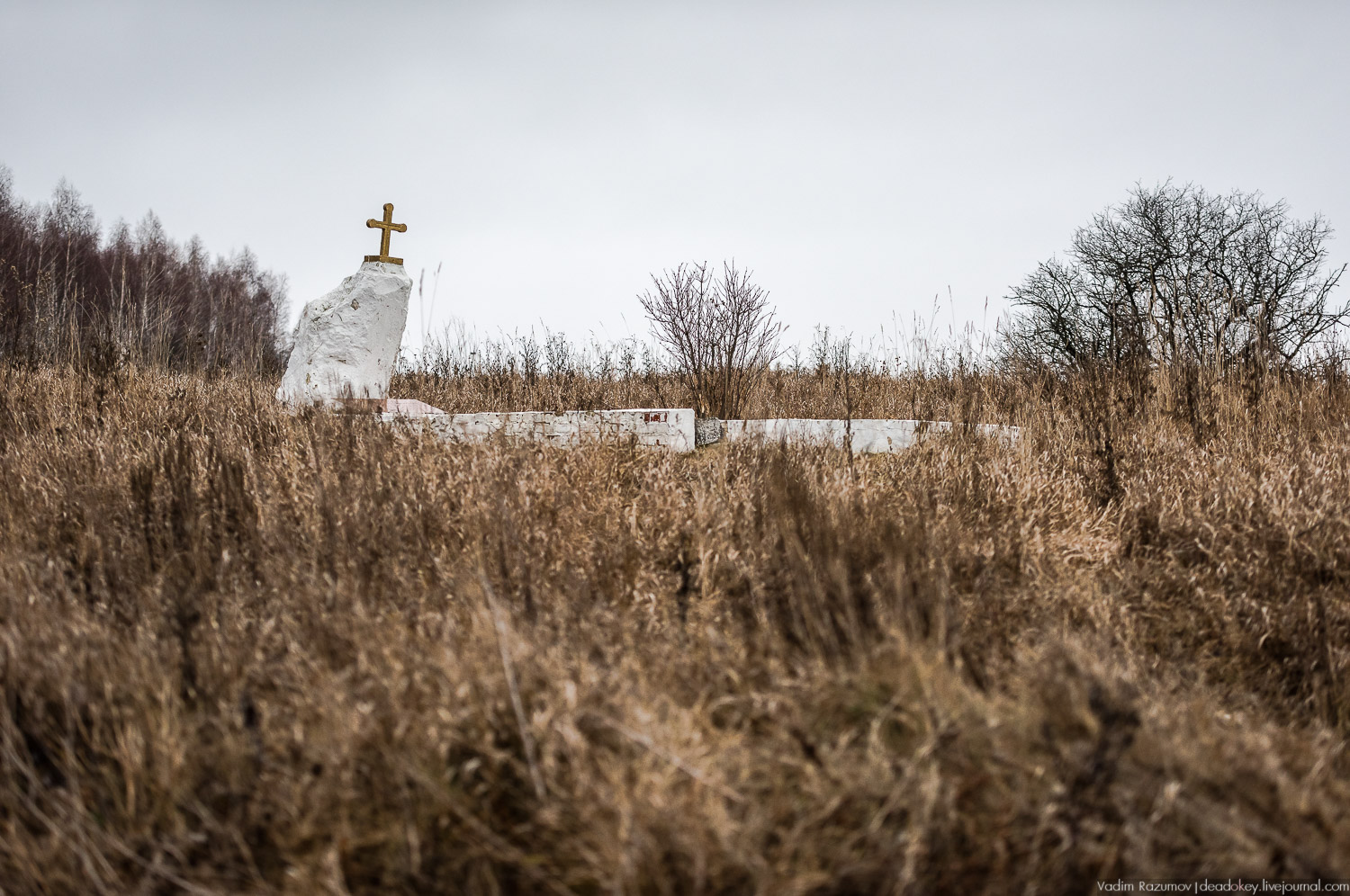 Старое Глазово, Тульская область, каширский уезд, могила архитектора В.И. Баженова
