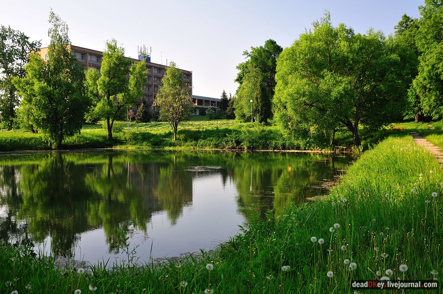 усадьба Богословское-Могильцы