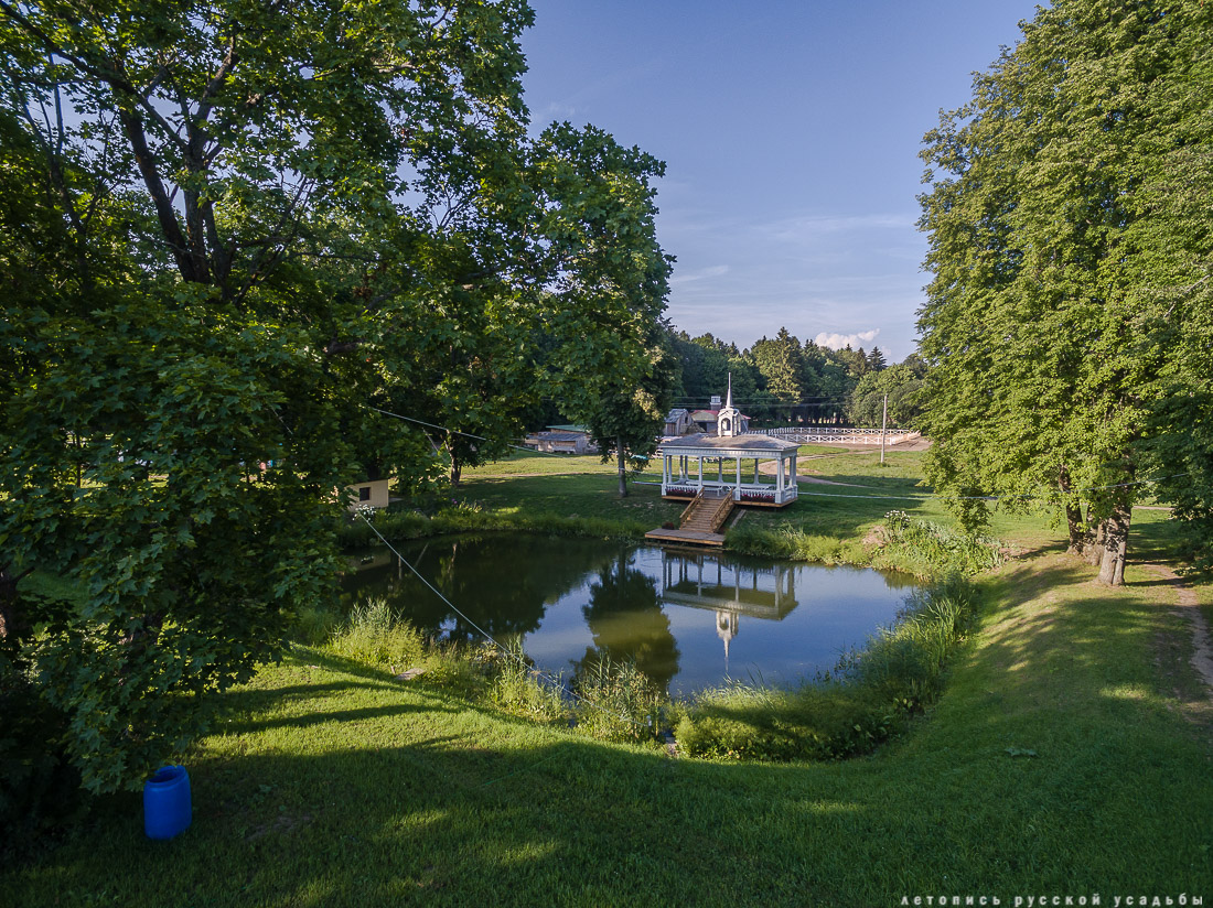усадьба Степановское-Волосово, фотографии с дрона, шетлендский пони Трамп