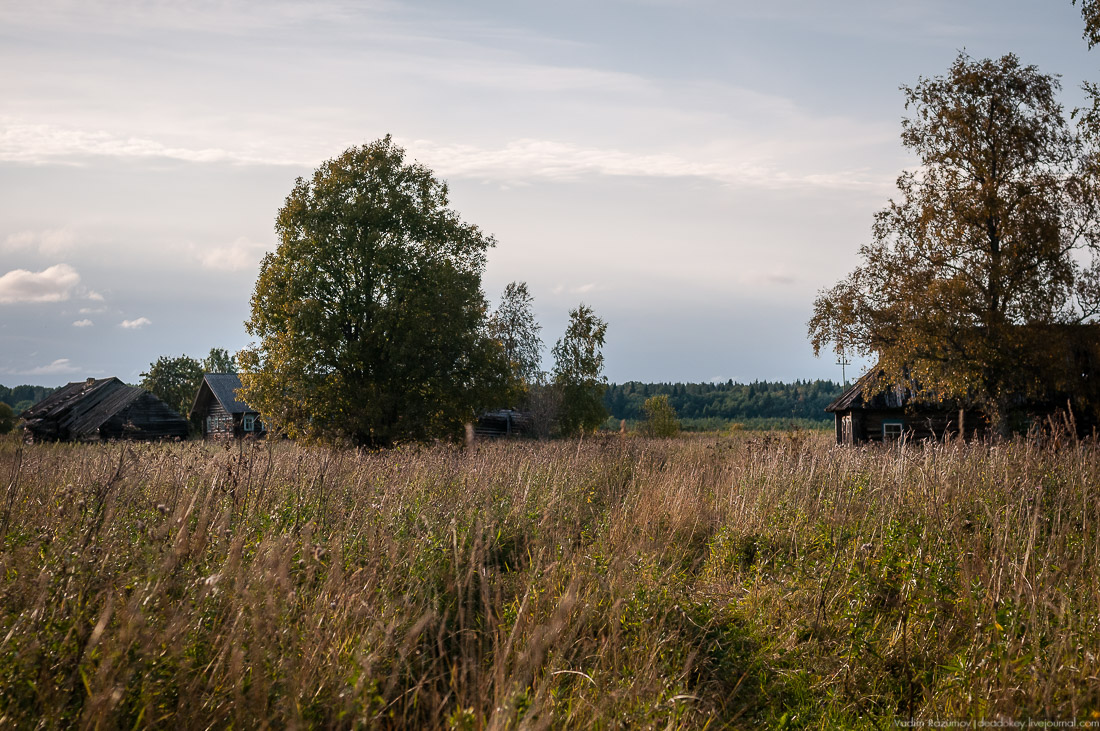 дер. Кучепалда, Архангельская обл.