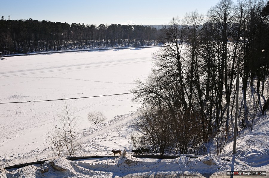 усадьба Козьмодемьяновское