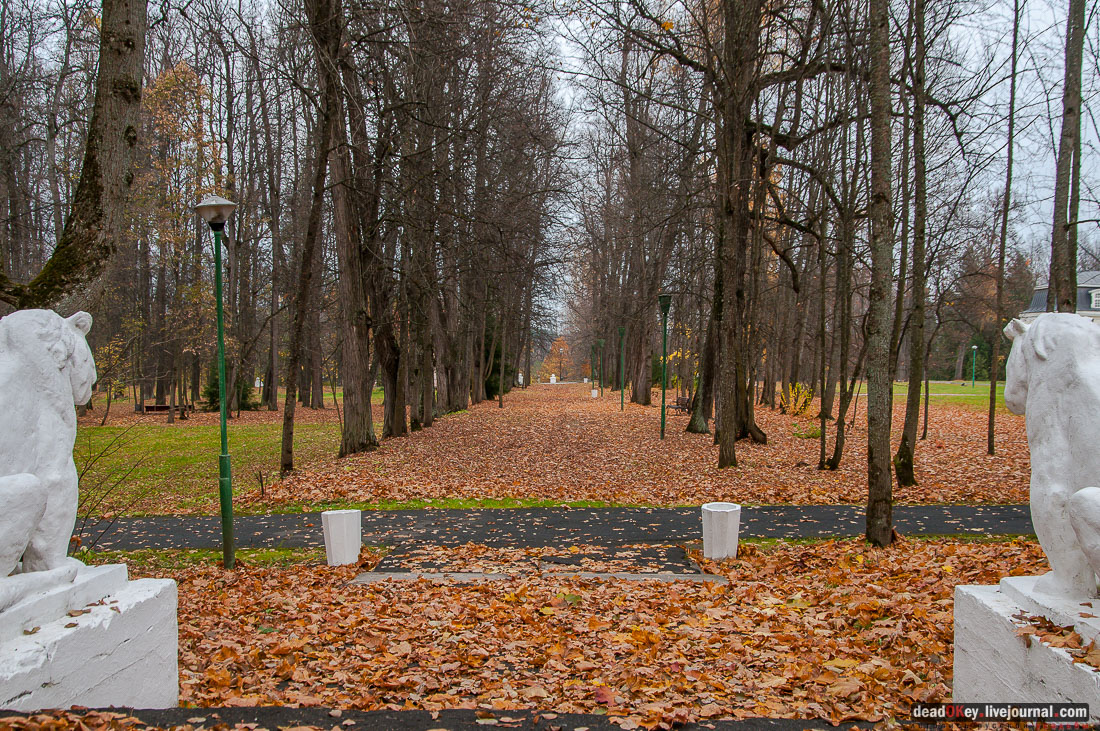 Вороново