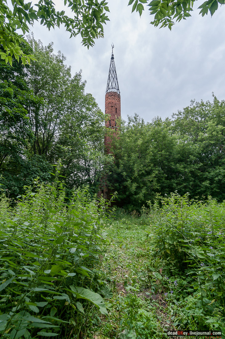 усадьба Дивово