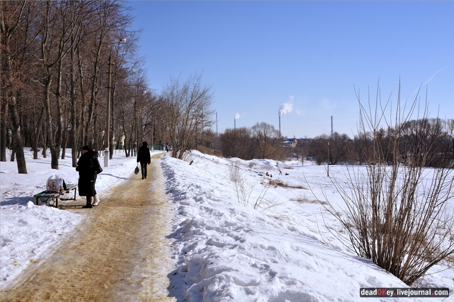 усадьба Кривякино