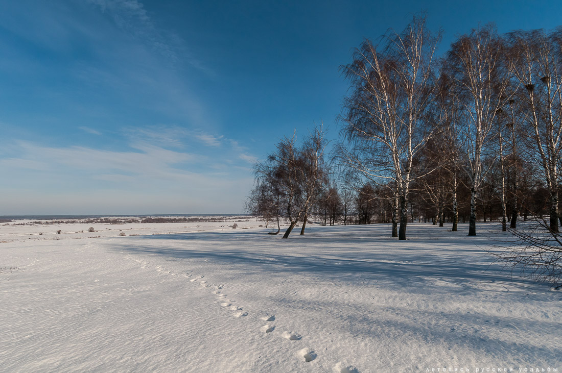 усадьба Константиново