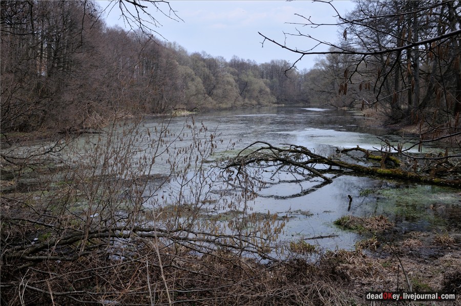 усадьба Городня