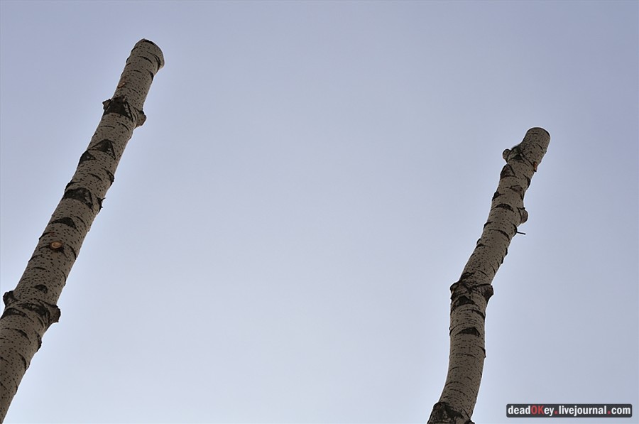 усадьба Белая Дача