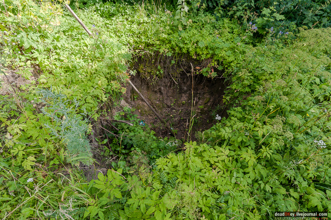 усадьба Баташовых, Гусь-Железный