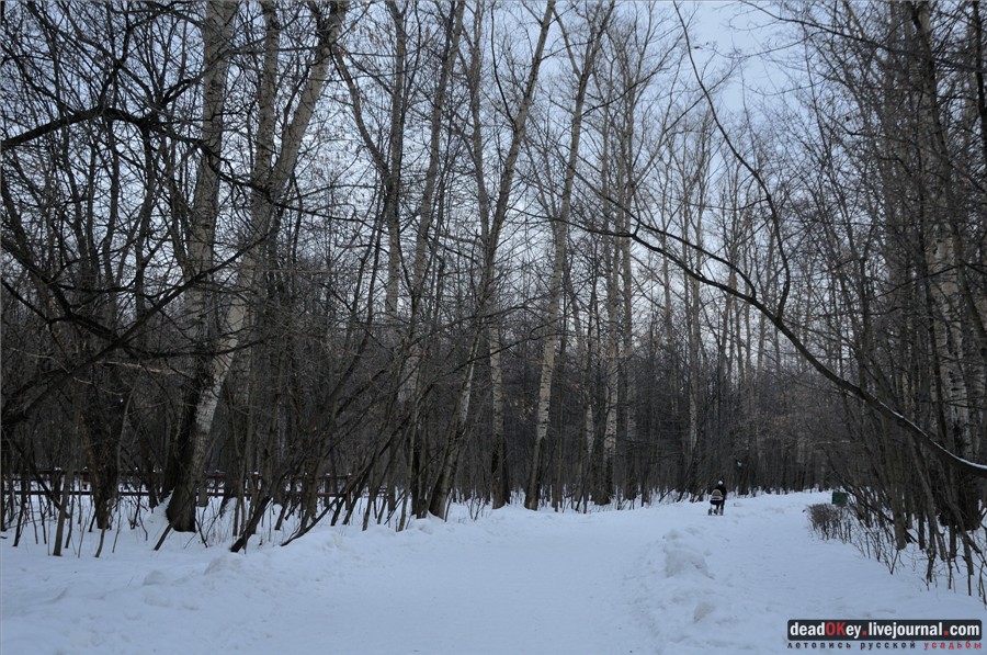  усадьба Гиреево