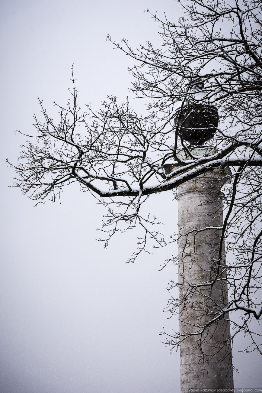 Усадьба Кусково зимой, 2018 год