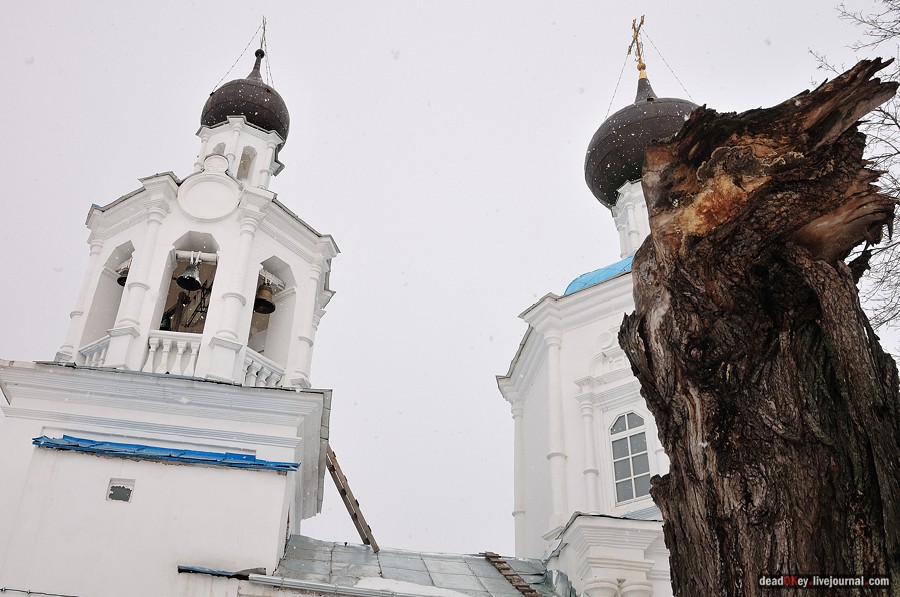 усадьба Кривцы