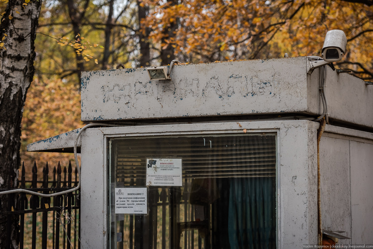 усадьба Кусково, осень 2018 года