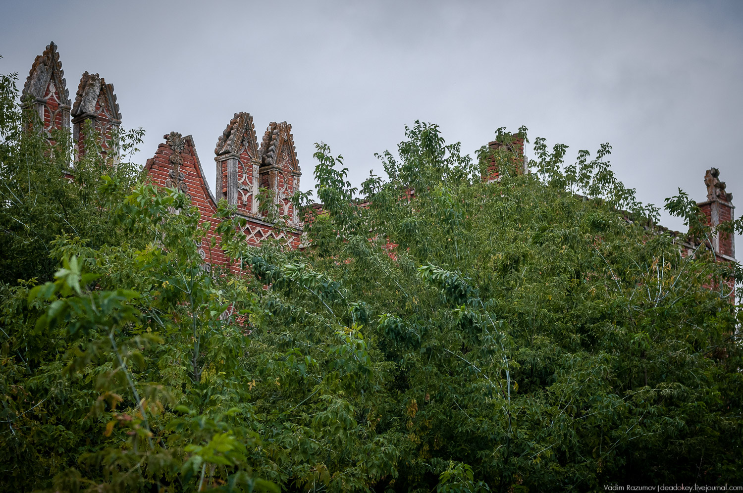 усадьба Каргашино