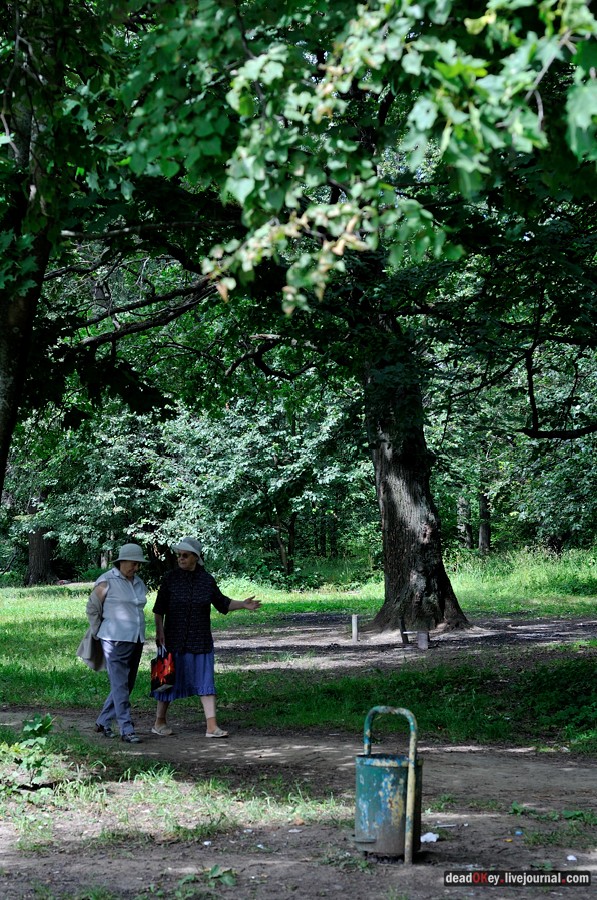 усадьба Троицкое (Мосрентген)