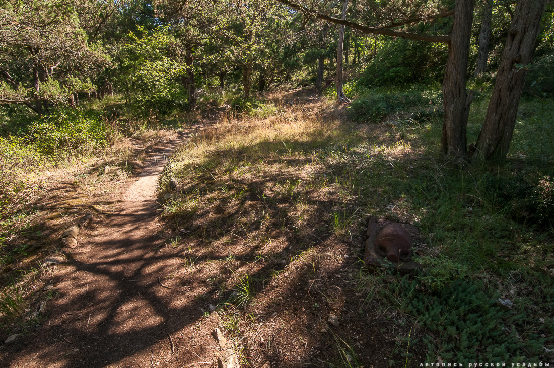 Харакс, Крым, санаторий Днепр