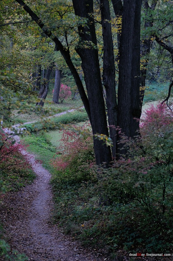 усадьба Ясная Поляна