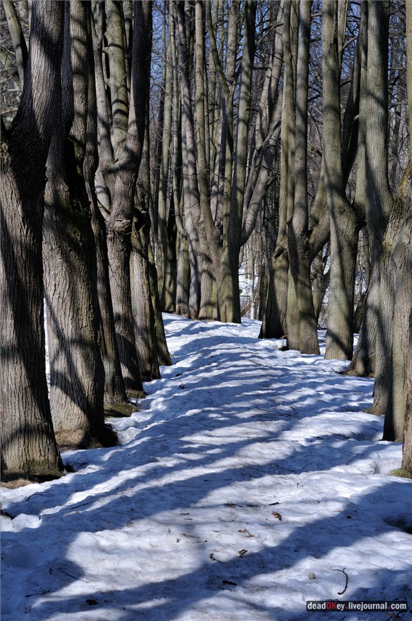 усадьба Узкое