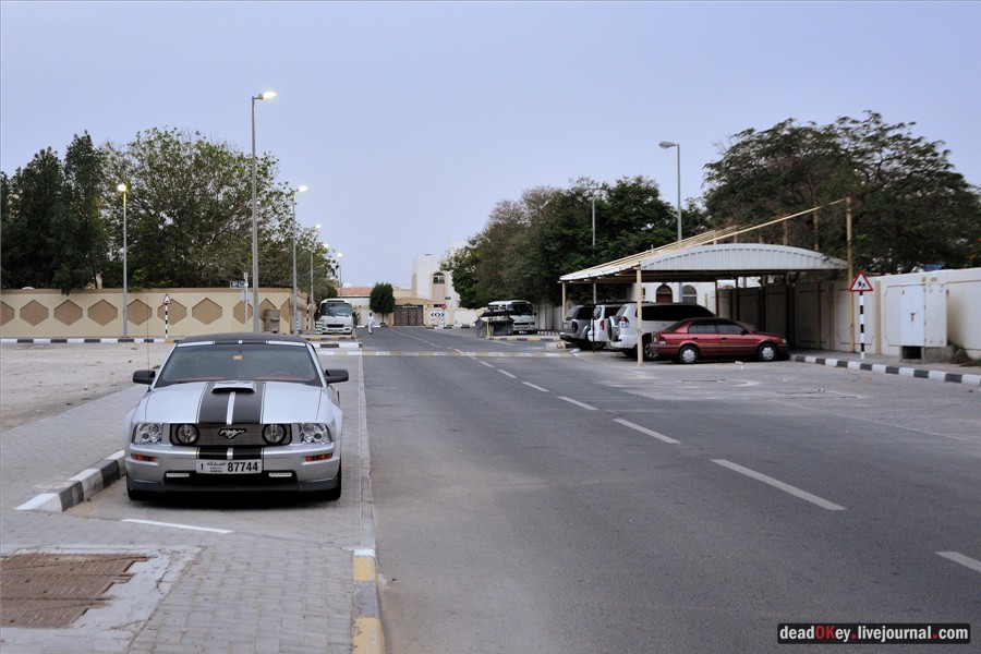 ОАЭ. Машины в Эмиратах