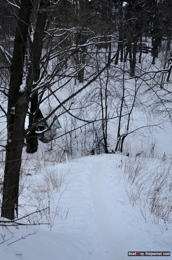 усадьба Остафьево