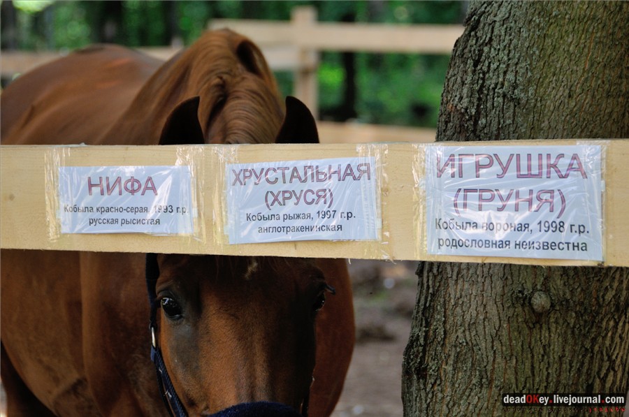усадьба Глинки Якова Брюса (пансионат Монино)