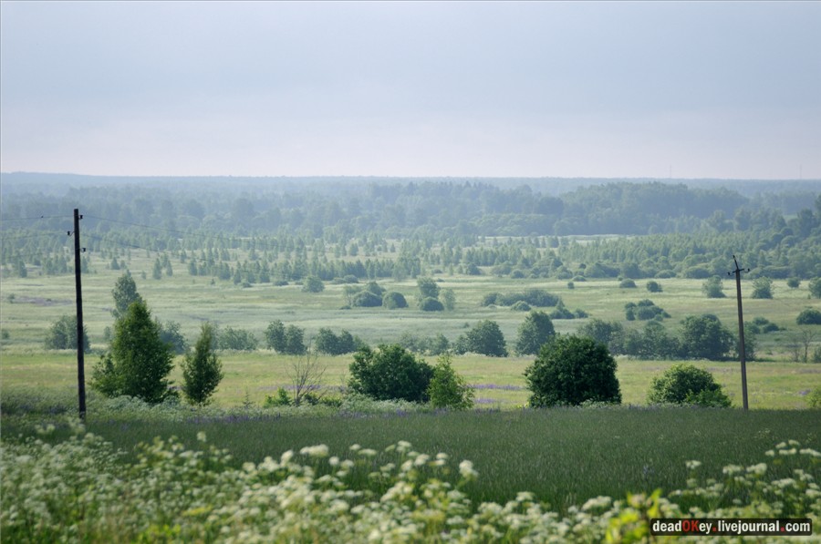усадьба Кудрявцево