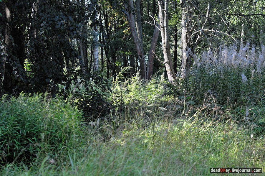 усадьба Хомяково