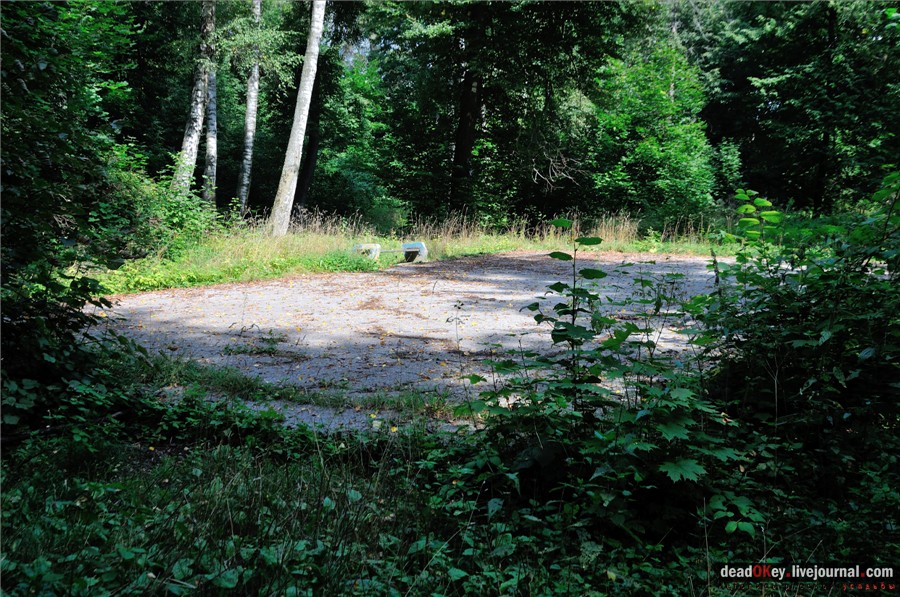 усадьба Глинки Якова Брюса (пансионат Монино)