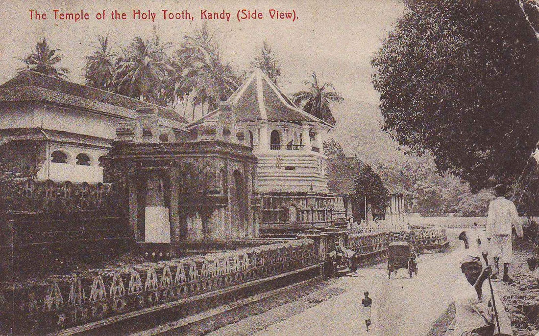 усадьба Мелихово. Чехов на Цейлоне