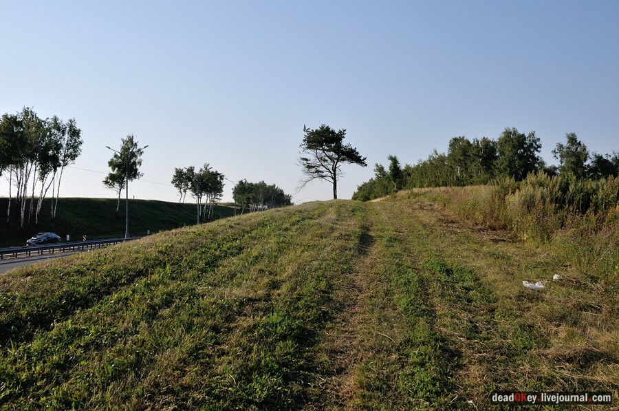 усадьба Шишкино