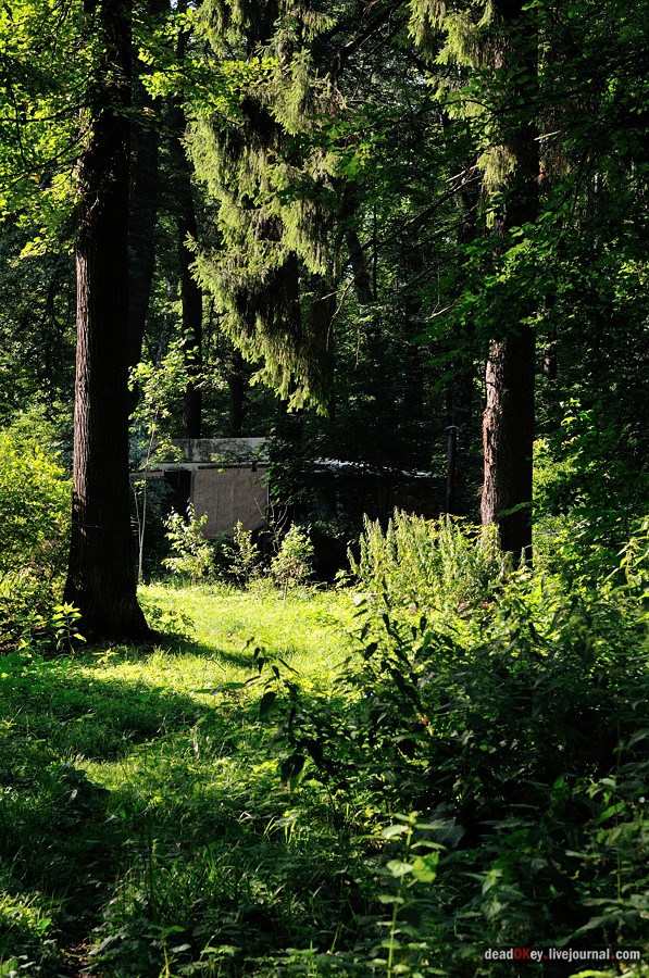 усадьба Шишкино