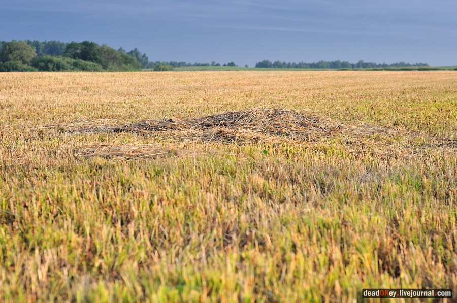усадьба Клины