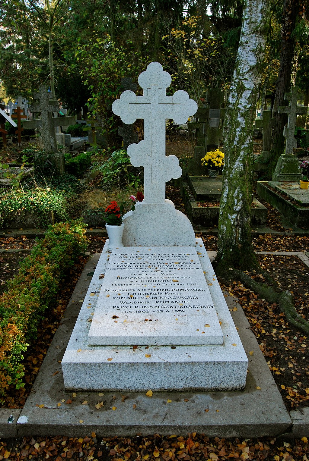 усадьба Борки, Липецкая область